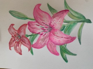 Kolorowe kwiatki malowane akwarelą w kolorze różowym