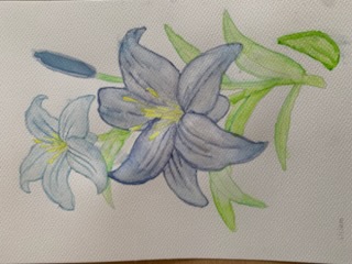 Kolorowe kwiatki malowane akwarelą w kolorze niebieskim