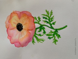 Kolorowe kwiatki malowane akwarelą w kolorze różowo-pomarańczowym