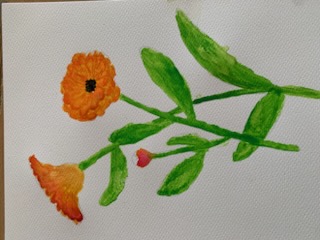 Kolorowe kwiatki malowane akwarelą w kolorze pomarańczowym