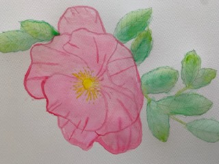 Kolorowe kwiatki malowane akwarelą w kolorze różowym